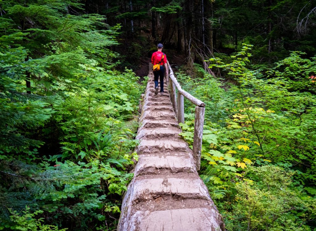 Log bridge