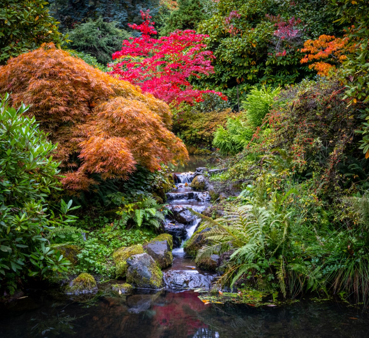 Garden waterfall