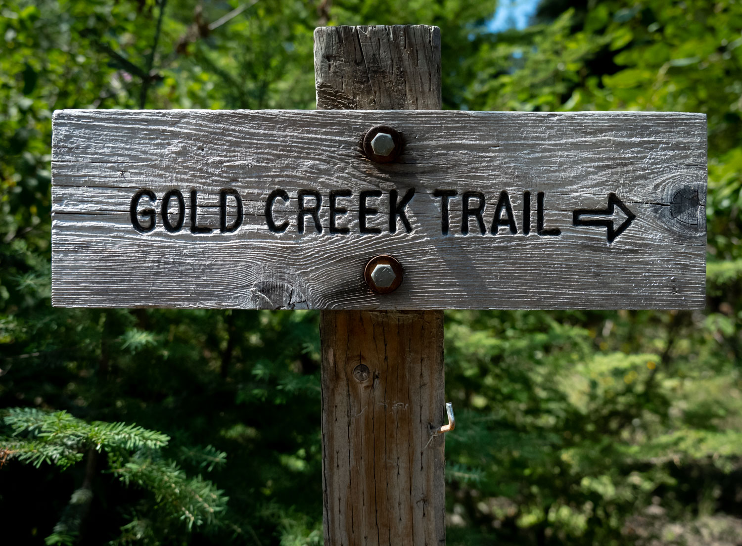 Gold Creek Trail