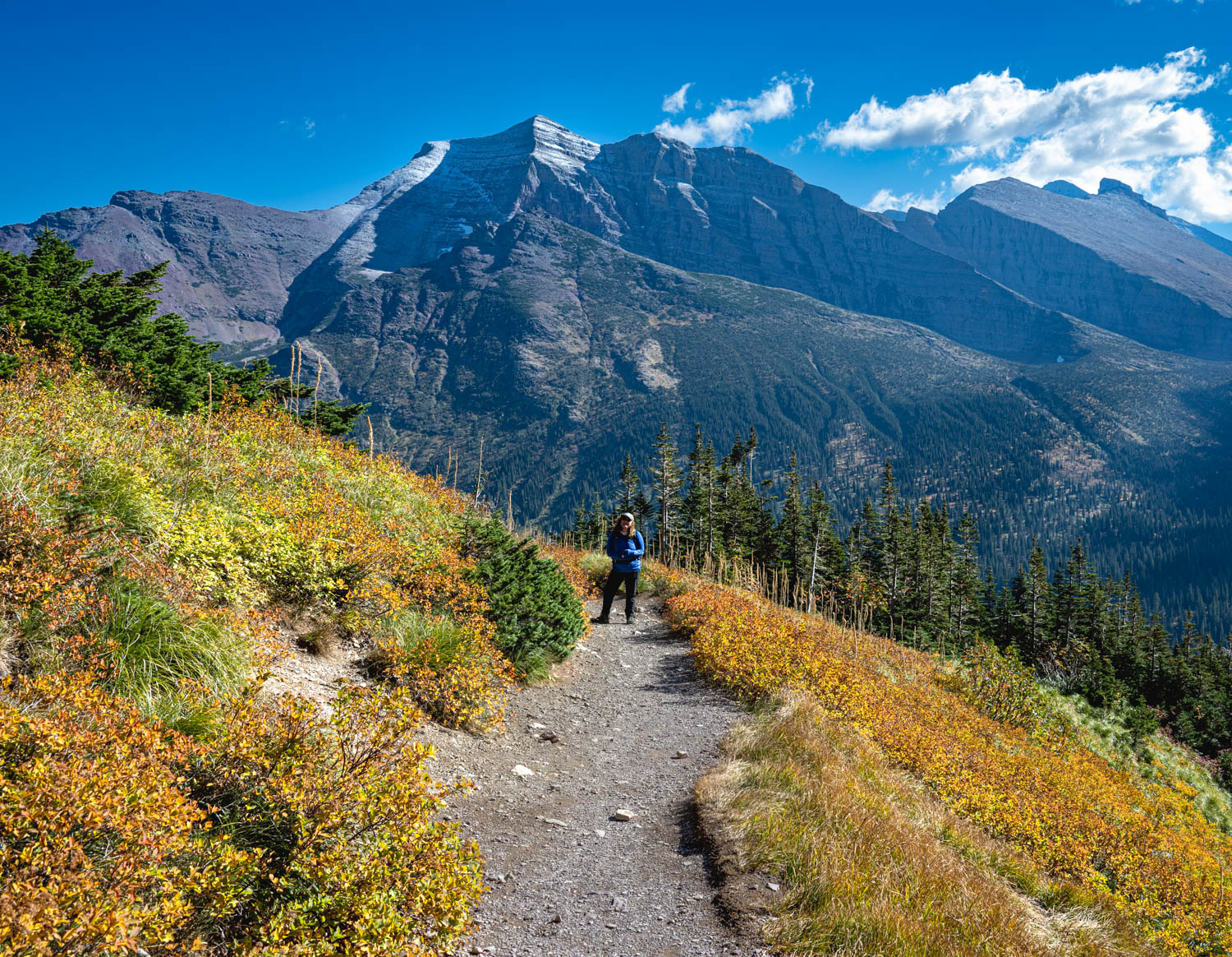 Fall colors on the shore of Two Medicine Lake