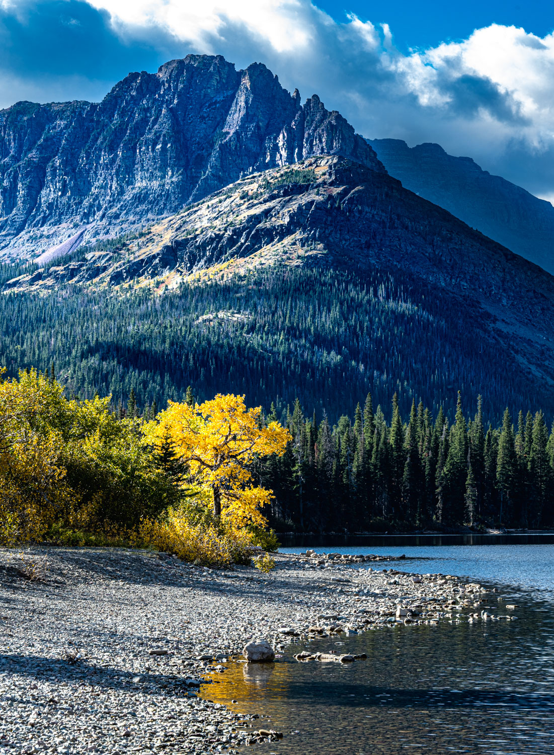 Fall colors on the shore of Two Medicine Lake