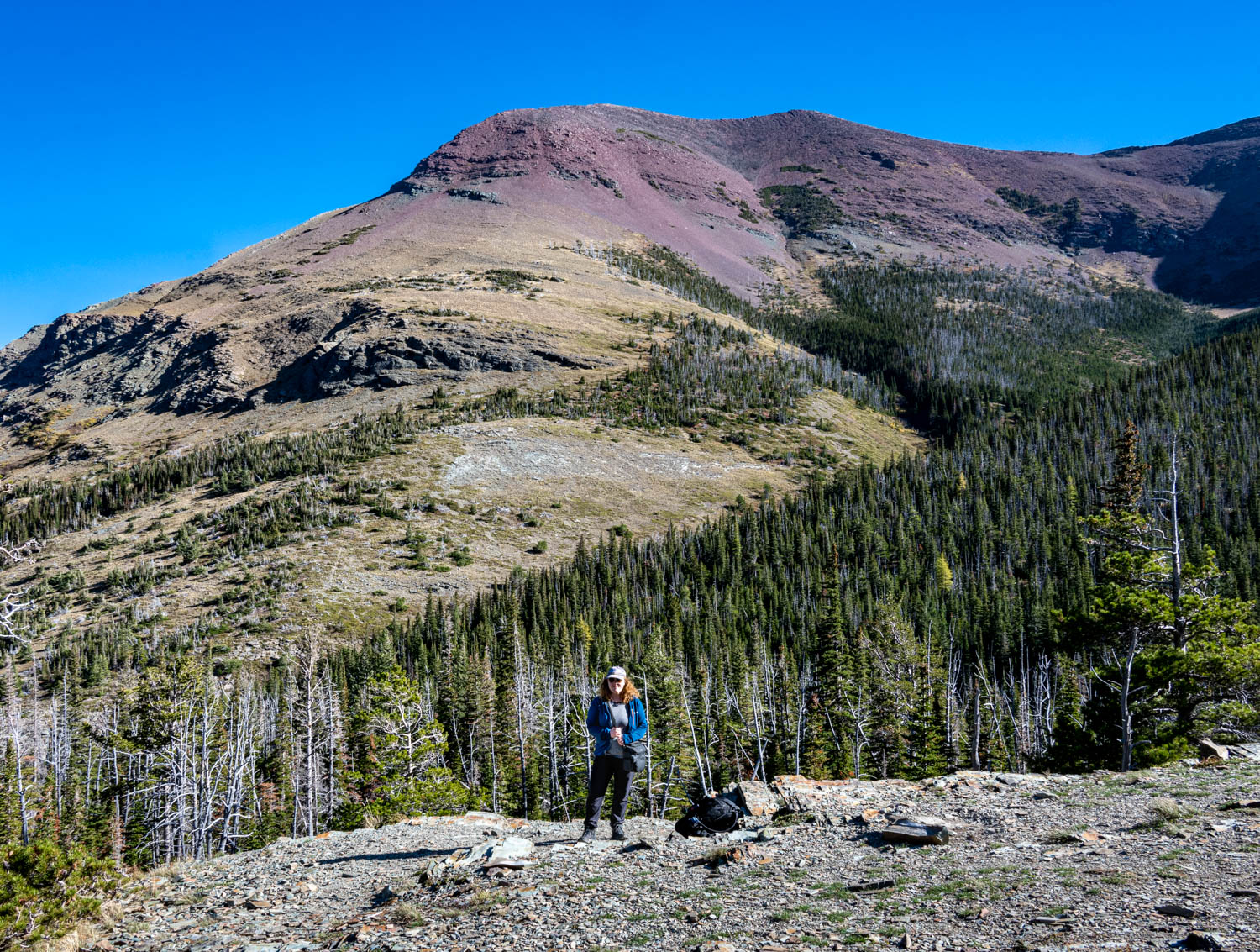 Aster Park Overlook