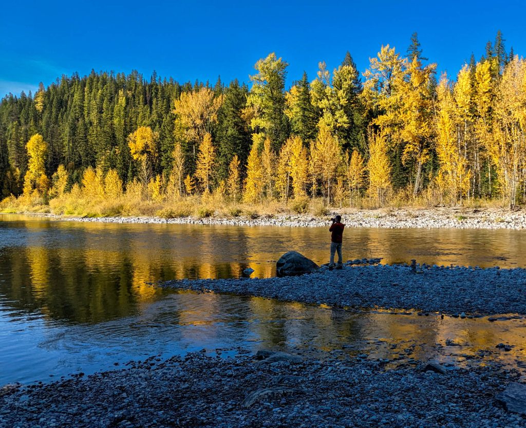 Fall foliage along the Cascadilla River